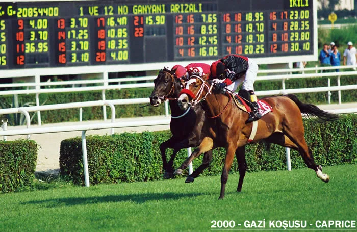 Caprice — 2000 Gazi Koşusu Şampiyonu