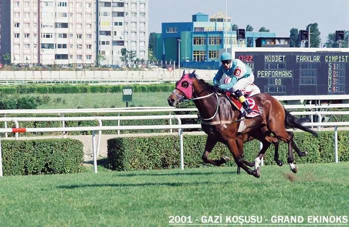Grand Ekinoks — 2001 Gazi Koşusu Şampiyonu