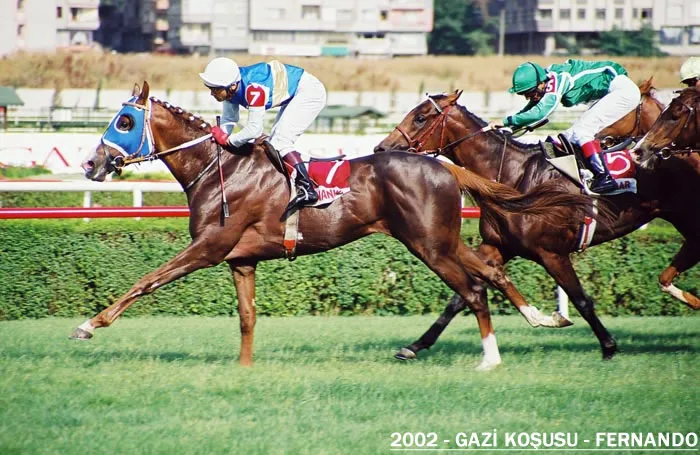 Fernando — 2002 Gazi Koşusu Şampiyonu
