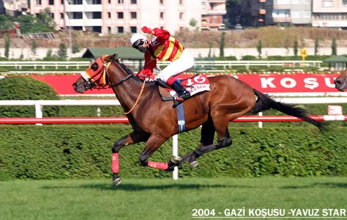 Yavuz Star — 2004 Gazi Koşusu Şampiyonu