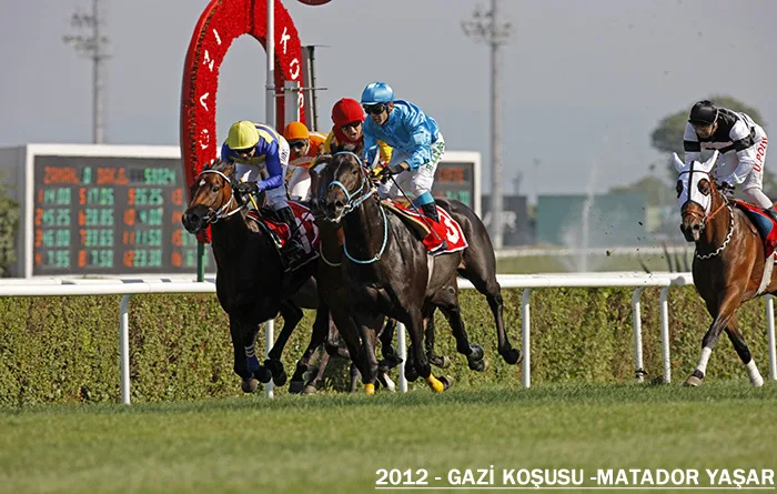 Matador Yaşar — 2012 Gazi Koşusu Şampiyonu
