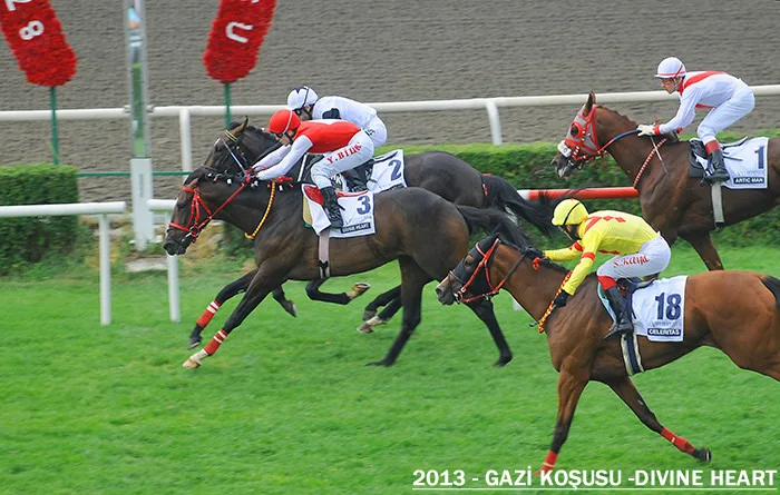 Divine Heart — 2013 Gazi Koşusu Şampiyonu