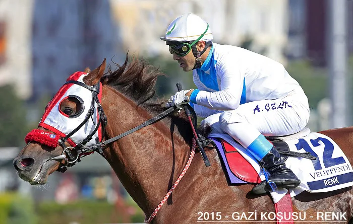 Renk — 2015 Gazi Koşusu Şampiyonu
