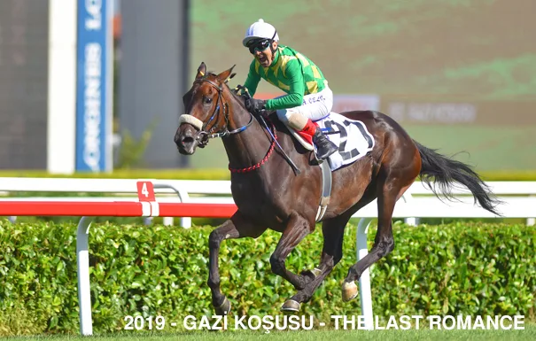 The Last Romance — 2019 Gazi Koşusu Şampiyonu