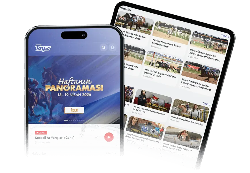 TAY TV Mobil Uygulama