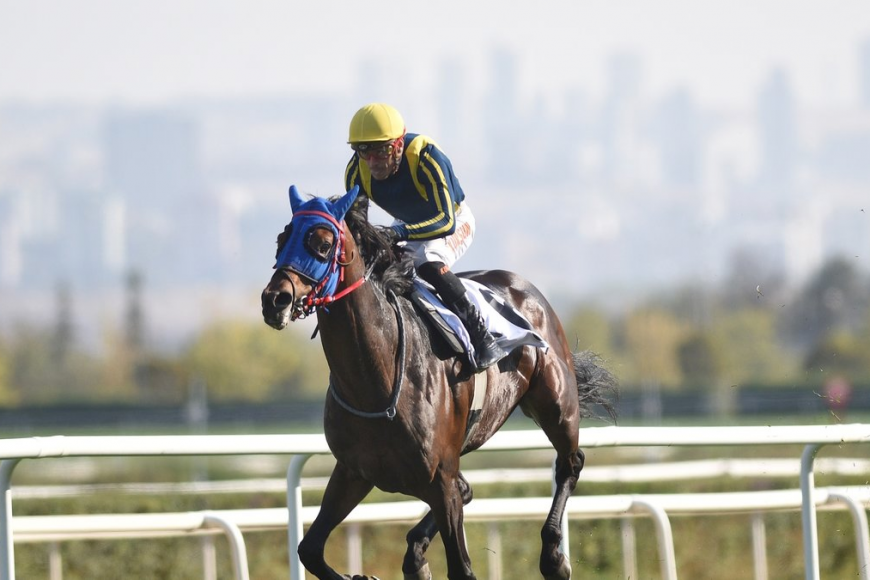 Cumhurbaşkanlığı Koşusu