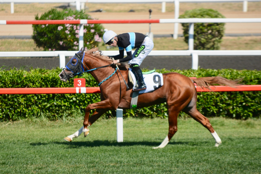 İstiklal Savaşı Koşusu