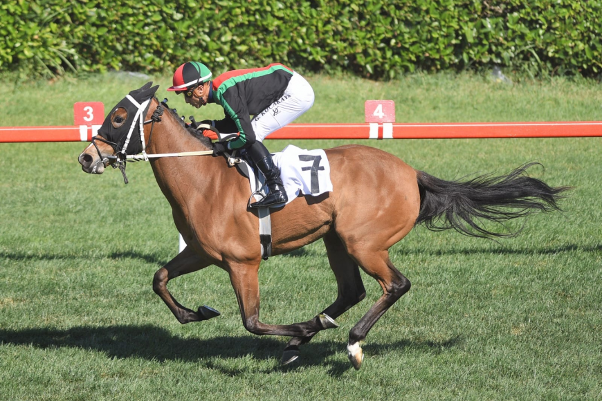 Sadun E.G. Atığ Koşusu