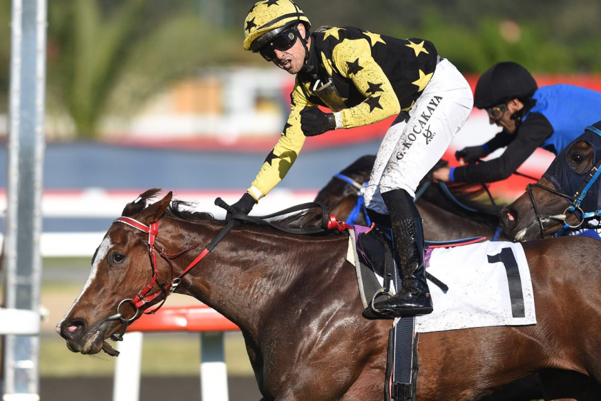 Dişi Tay Deneme Koşusu