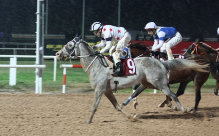 Pozantı Belediye Başkanlığı Koşusu'nu Kocaefe kazandı