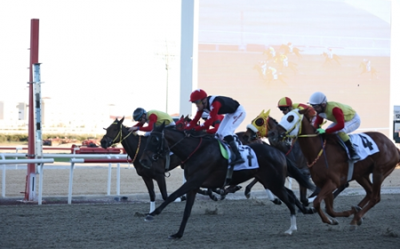 Lara Koşusu'nu Voice Of Khan kazandı