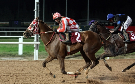 Hasan Aksoy Koşusu’nda kazanan Selanik Aslanı oldu