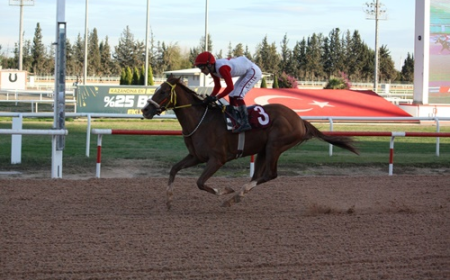 Kozan Belediyesi Koşusu’nda galibiyete ulaşan Nightflyers oldu