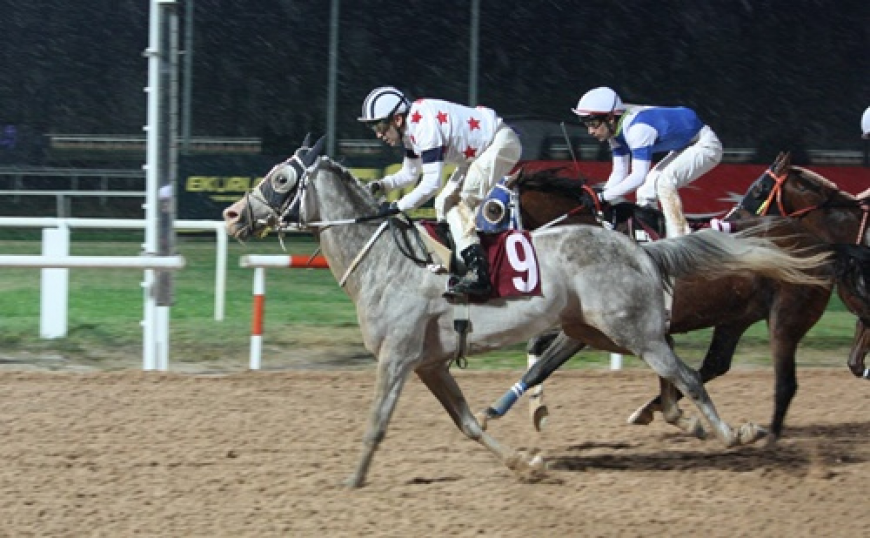 Pozantı Belediye Başkanlığı Koşusu'nu Kocaefe kazandı