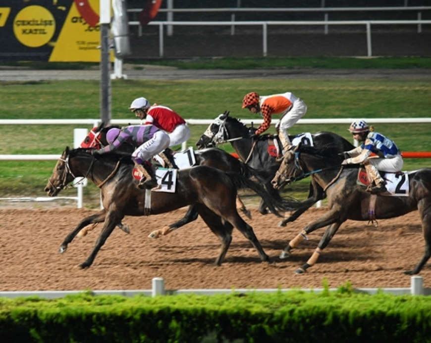 Hasan Basri Karabucak Koşusu'nda kazanan Kayı Beyi oldu