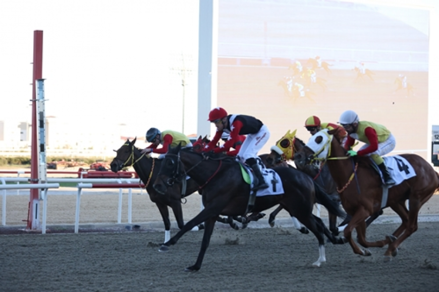 Lara Koşusu'nu Voice Of Khan kazandı