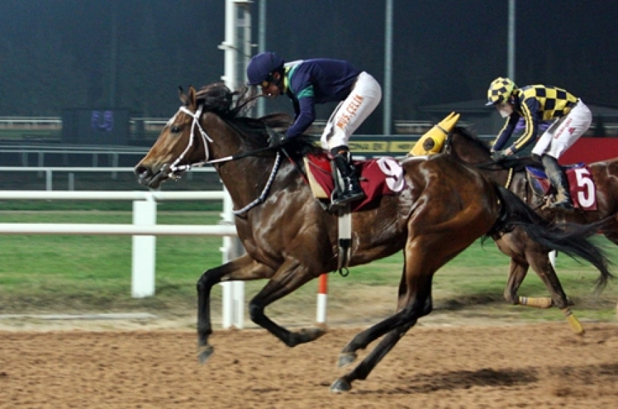 İbrahim Özekici Koşusu’nda galibiyete ulaşan Wolka Maria oldu