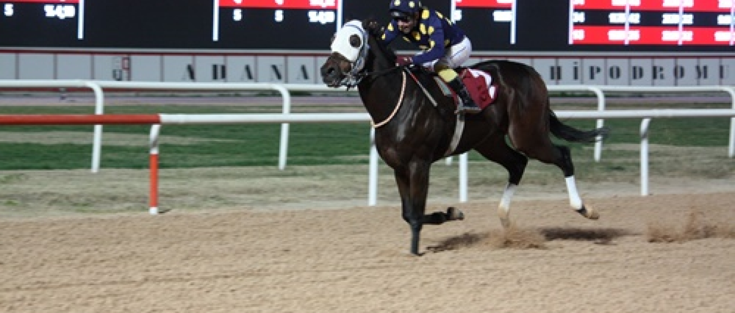 Ali Karabucak Koşusu'nu Halleluka kazandı