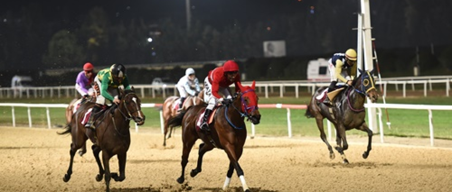 Buca Kaymakamlığı Koşusu'nu Majestik Flow kazandı