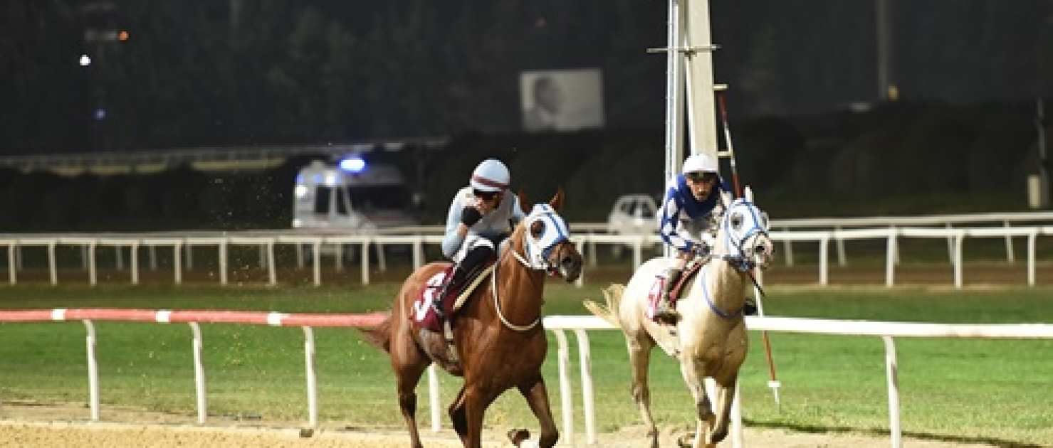 Adil Tügel Koşusu'nu Sadık Ağanın Oğlu kazandı