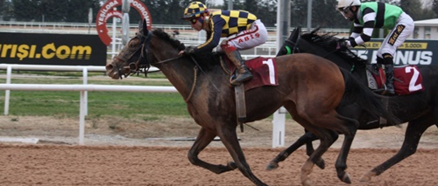 Mersin Büyükşehir Belediye Başkanlığı Koşusu'nu Bayır Efe kazandı