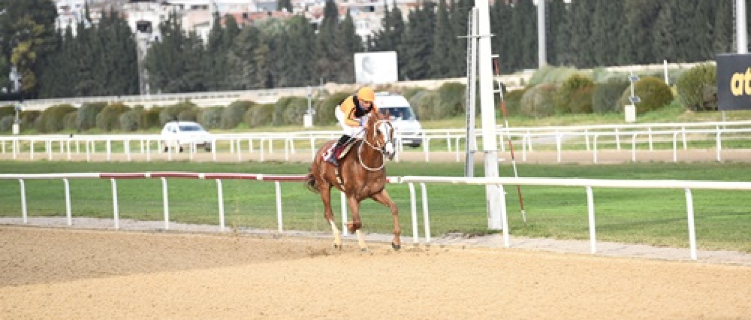 Şencan Fotocan Koşusu'nu üst üste üçüncü kez Wardenclyffe kazandı