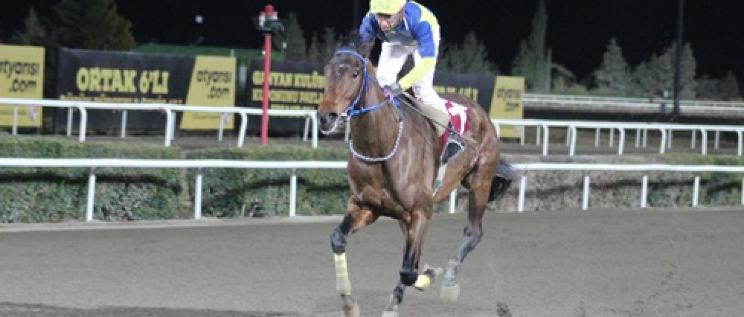 Harran Belediyesi Koşusu’nu Pirate Of The Sea kazandı