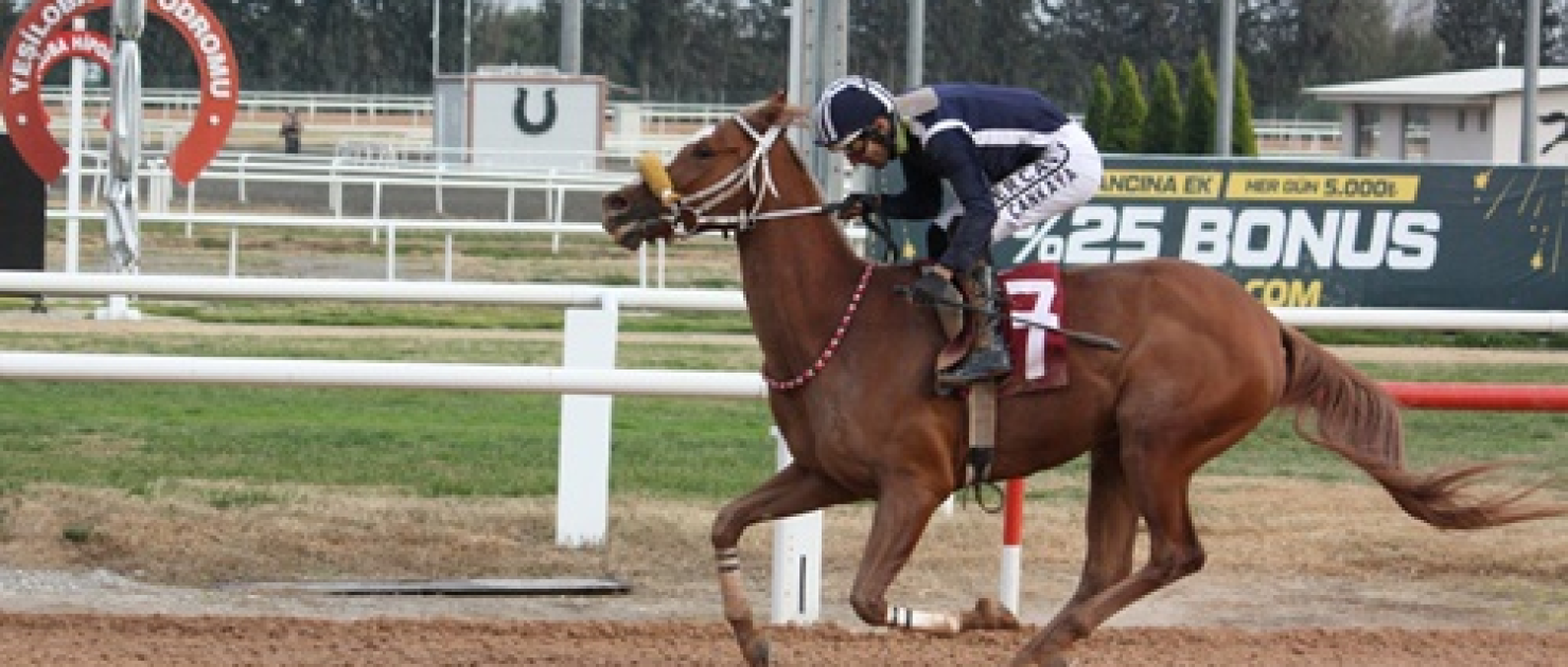 Yüreğir Belediyesi Koşusu'nu Kılıçaslı kazandı