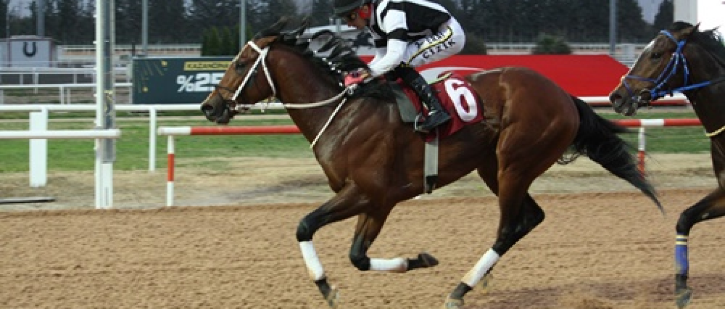 Faruk Ayral Koşusu'nda kazanan Frou Frou oldu