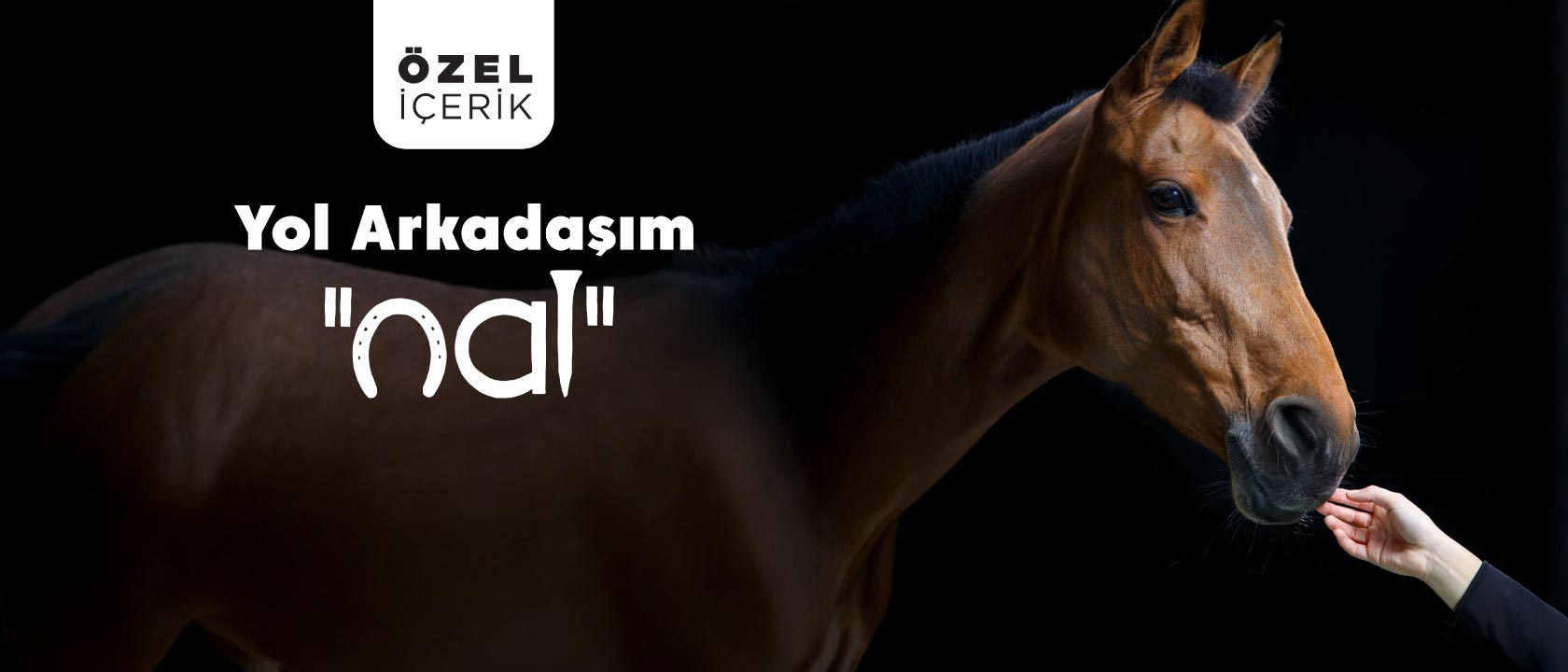 Yol Arkadaşım... "Nal"