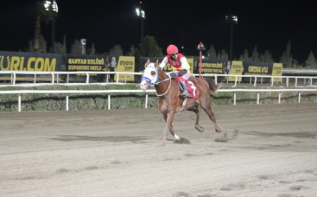 Haliliye Belediye Başkanlığı Koşusu’nu Kralcevheri kazandı