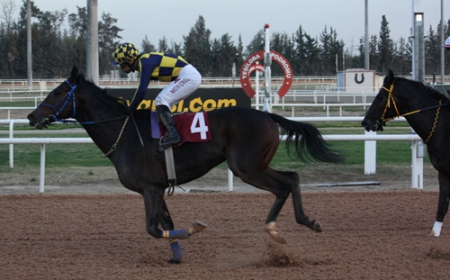 Çukurova Belediye Başkanlığı Koşusu'nu Percy Jackson kazandı