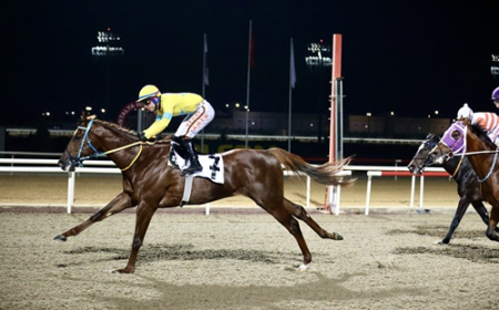 Manavgat Koşusu'nu Special Man kazandı