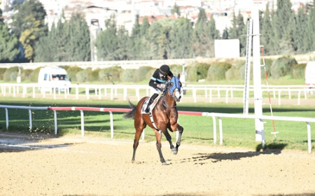 Güzel İzmir Koşusu'nu The Protecter kazandı