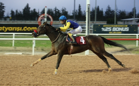 Ali Samsa Karamehmet Koşusu’nda kazanan Power Song oldu