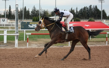 Seyhan Belediye Başkanlığı Koşusu'nda kazanan Hood River oldu