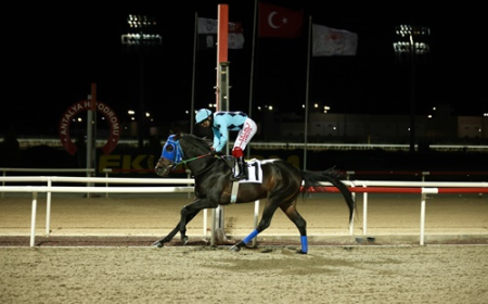 Olympos Koşusu'nun galibi Tirilye Kartalı oldu