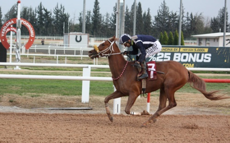 Yüreğir Belediyesi Koşusu'nu Kılıçaslı kazandı