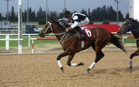 Faruk Ayral Koşusu'nda kazanan Frou Frou oldu