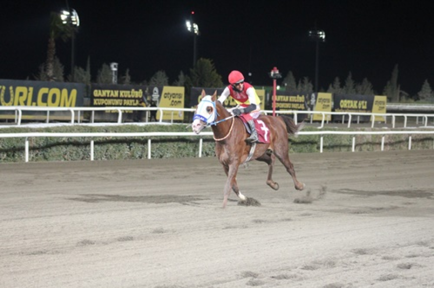 Haliliye Belediye Başkanlığı Koşusu’nu Kralcevheri kazandı