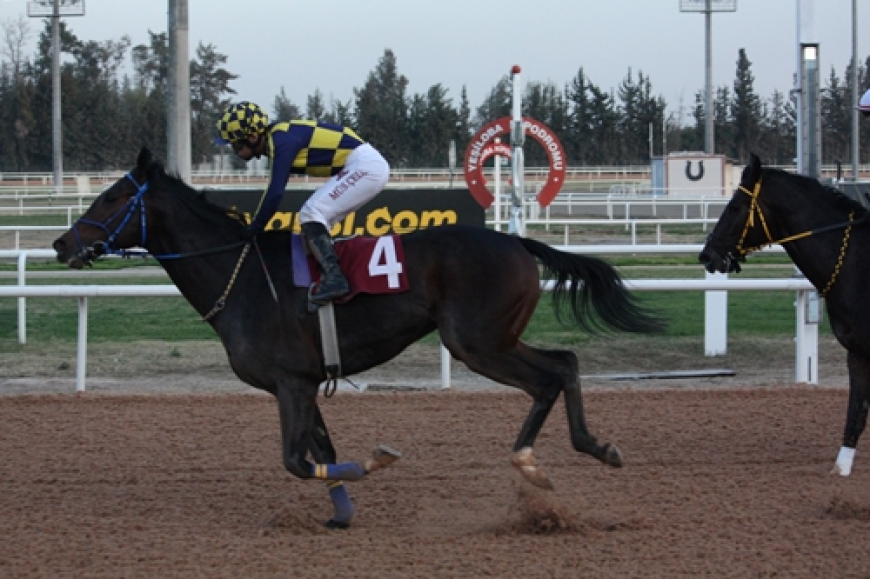 Çukurova Belediye Başkanlığı Koşusu'nu Percy Jackson kazandı