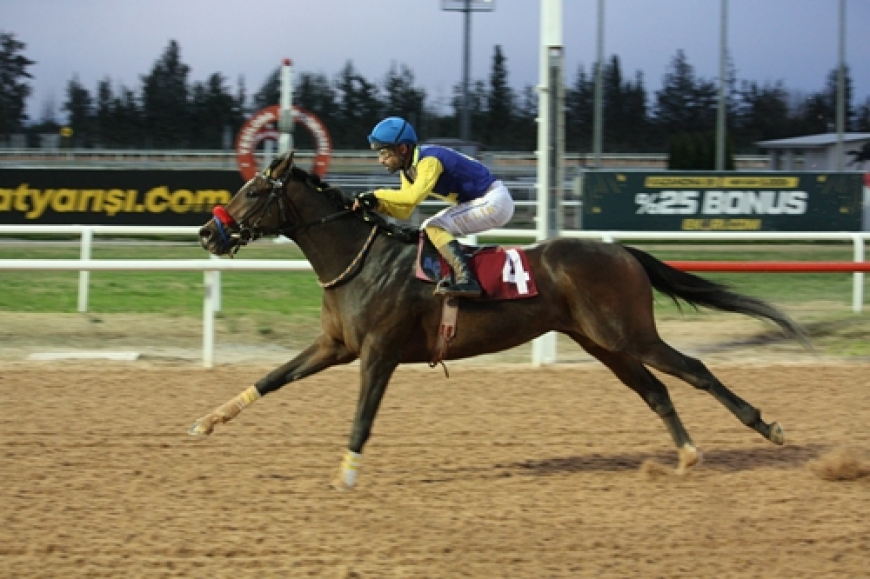 Ali Samsa Karamehmet Koşusu’nda kazanan Power Song oldu