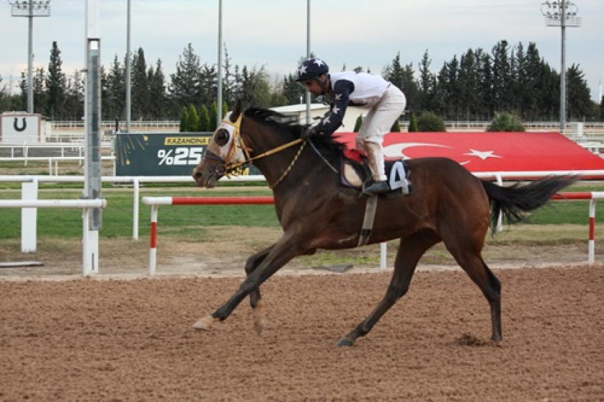 Seyhan Belediye Başkanlığı Koşusu'nda kazanan Hood River oldu