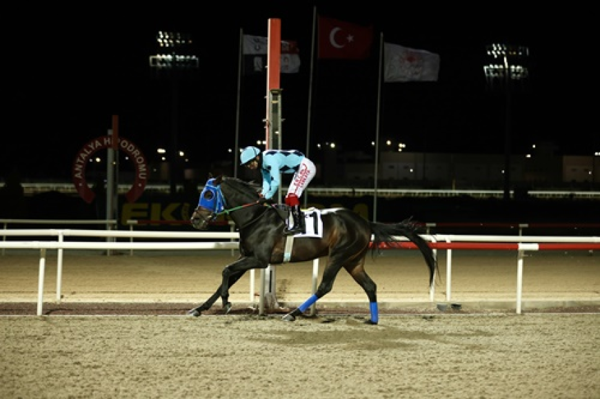 Olympos Koşusu'nun galibi Tirilye Kartalı oldu