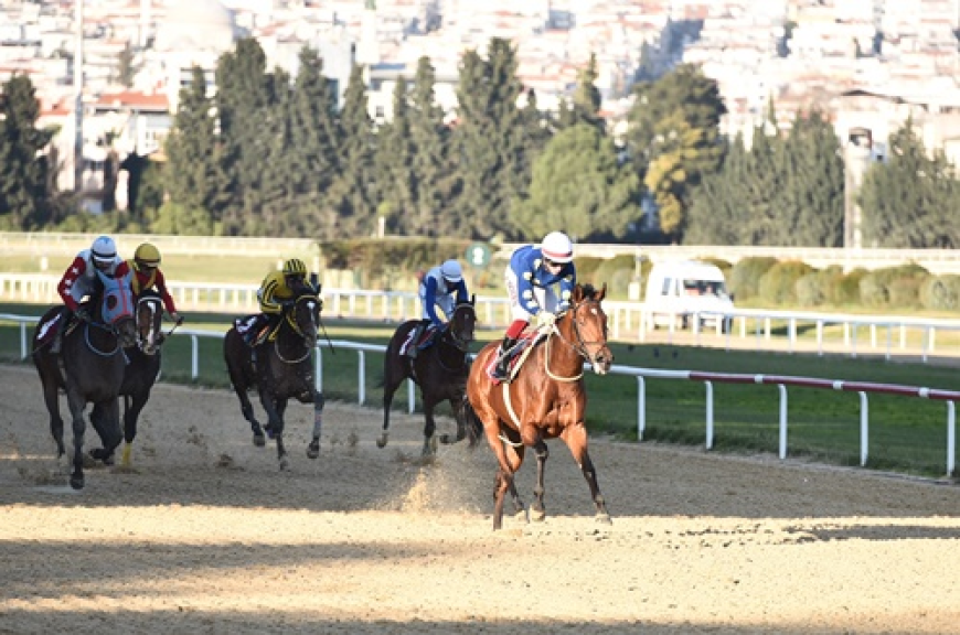 Onur Yetkin Koşusu'nu üst üste ikinci kez Drowzee kazandı