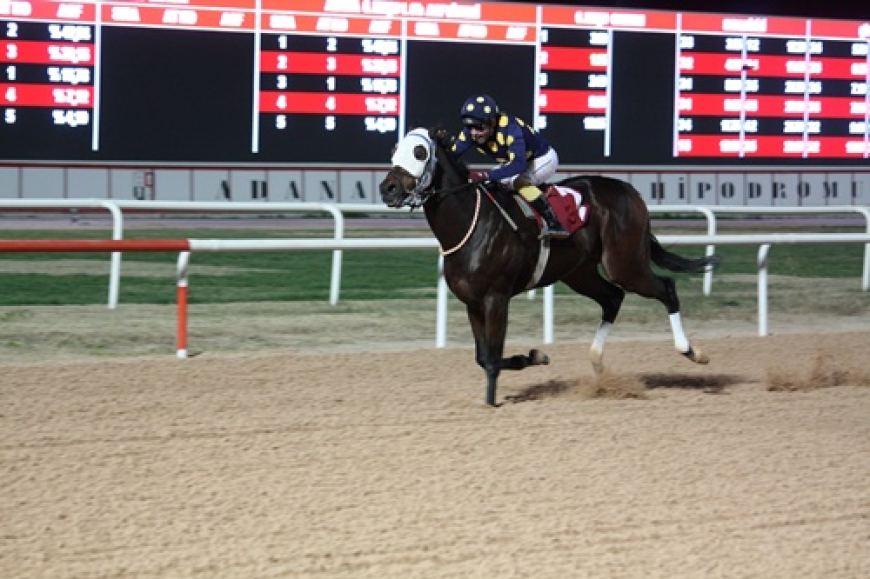 Ali Karabucak Koşusu'nu Halleluka kazandı