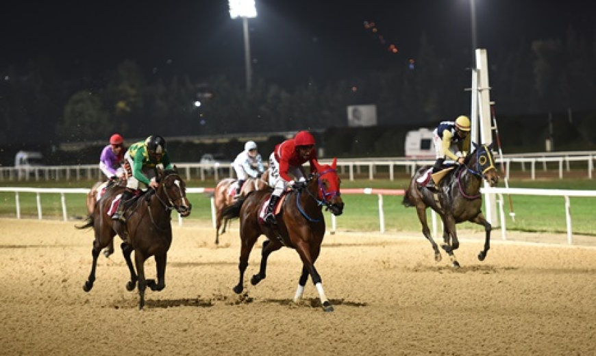 Buca Kaymakamlığı Koşusu'nu Majestik Flow kazandı