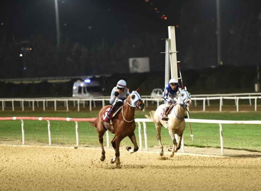 Adil Tügel Koşusu'nu Sadık Ağanın Oğlu kazandı