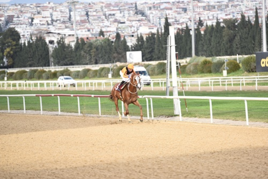Şencan Fotocan Koşusu'nu üst üste üçüncü kez Wardenclyffe kazandı