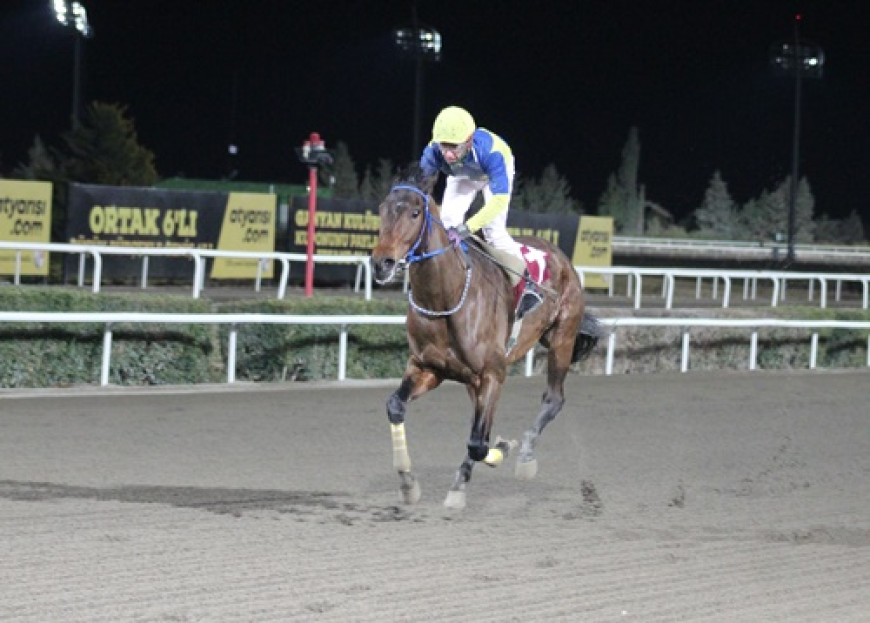 Harran Belediyesi Koşusu’nu Pirate Of The Sea kazandı